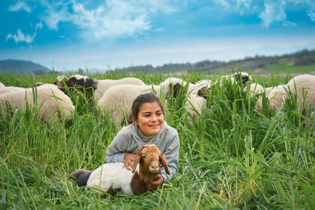 Switching to goat milk